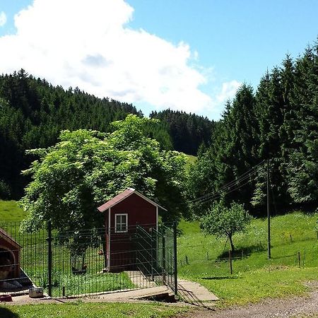 Ferienwohnung Ringwald Biederbach Bagian luar foto