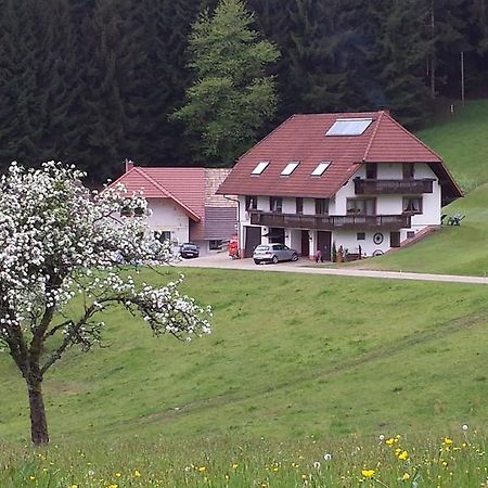 Ferienwohnung Ringwald Biederbach Bagian luar foto