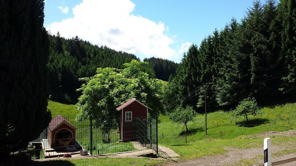 Ferienwohnung Ringwald Biederbach Bagian luar foto