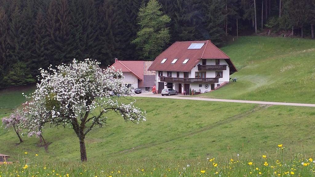 Ferienwohnung Ringwald Biederbach Bagian luar foto